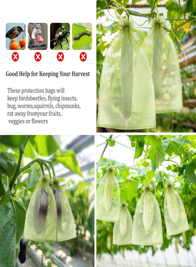 FloraSea 50 PCS 8X12 inches Fruit Protection Bags,Fruit Bags for Fruit Trees,Fruit Bags Protection,Green Netting Fruit Cover Bags Drawstring Mesh Fruit Protectors Pest Barrier for Fruit Trees Veggies Garden - Image 4