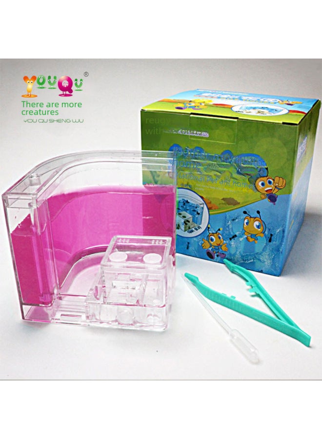 [Authentic Ant Home] Ant Castle Ant Workshop House Villa Palace Ecological Box Science And Education Toys-Color:White.  - Image 5