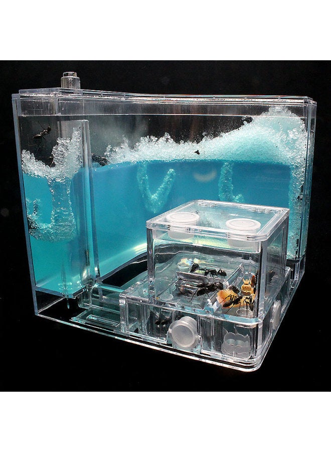 [Authentic Ant Home] Ant Castle Ant Workshop House Villa Palace Ecological Box Science And Education Toys-Color:White.  - Image 4