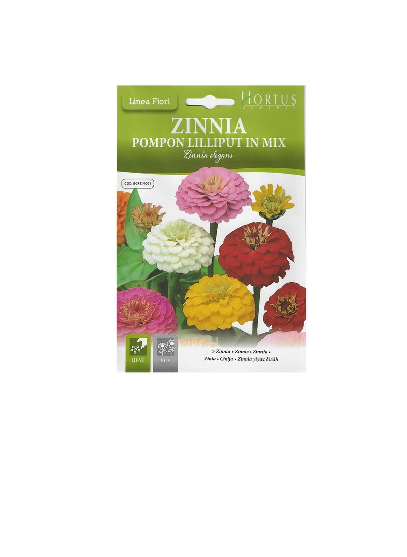 Zinnia Zinnia Pompon Lilliput in Mix Premium Quality Seeds  - Image 2