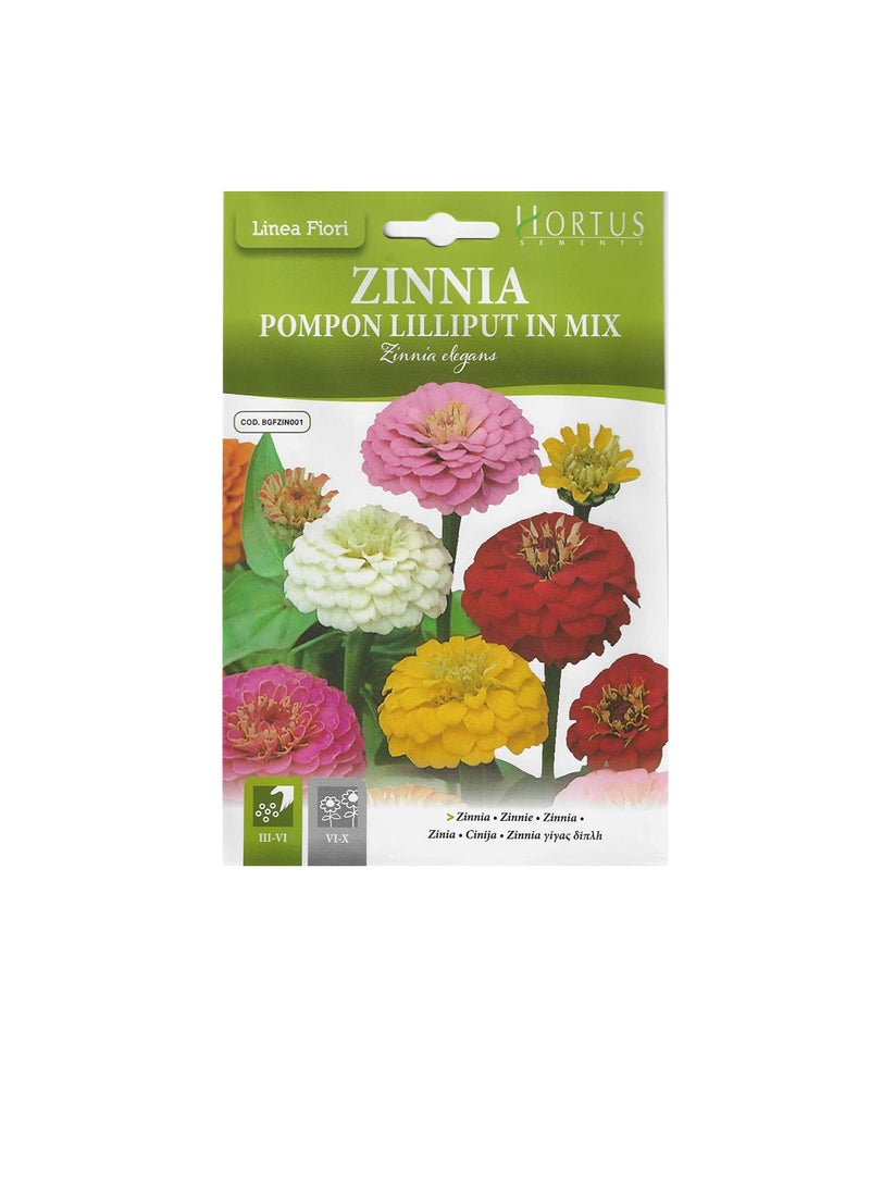 Zinnia Zinnia Pompon Lilliput in Mix Premium Quality Seeds  - Image 3