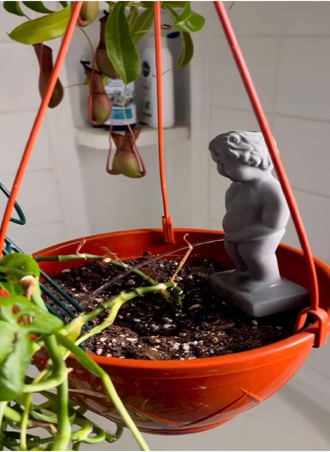 NPW - NPW-USA Plant Life Pee My Plants, Garden Statue, Color-Stone - Image 1