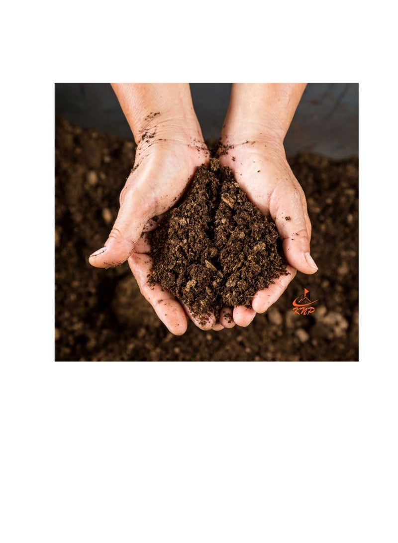 KNP Peat Moss Substrate 340L - Image 2