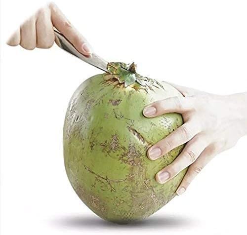 RoarCraft Coconut Opener, Stainless Steel Coconut Knife Tool for Easy Access to Fresh Coconut Water. Safe and Easy.Easy to Open Young Coconut Water Open Tools for Home - Image 2