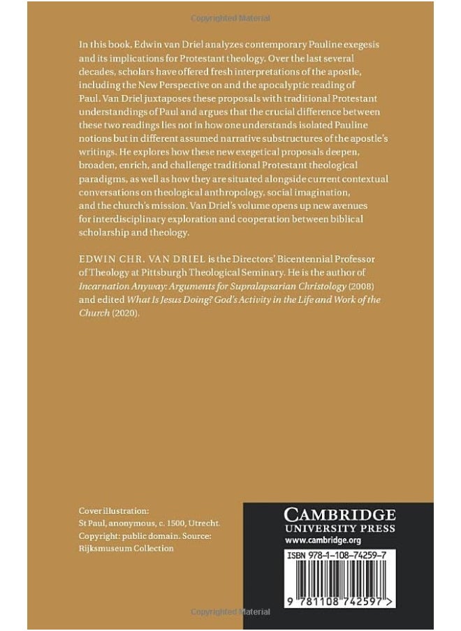 Rethinking Paul: Protestant Theology and Pauline Exegesis  - Image 2