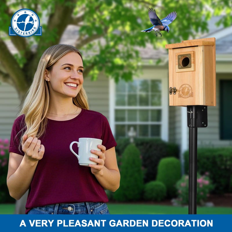SISTERBIRD Bird Houses for Outside Clearance with Copper Guard, Cedar Bird House Outdoor, Bluebird Finch Swallow Wren Chickadee - Image 4