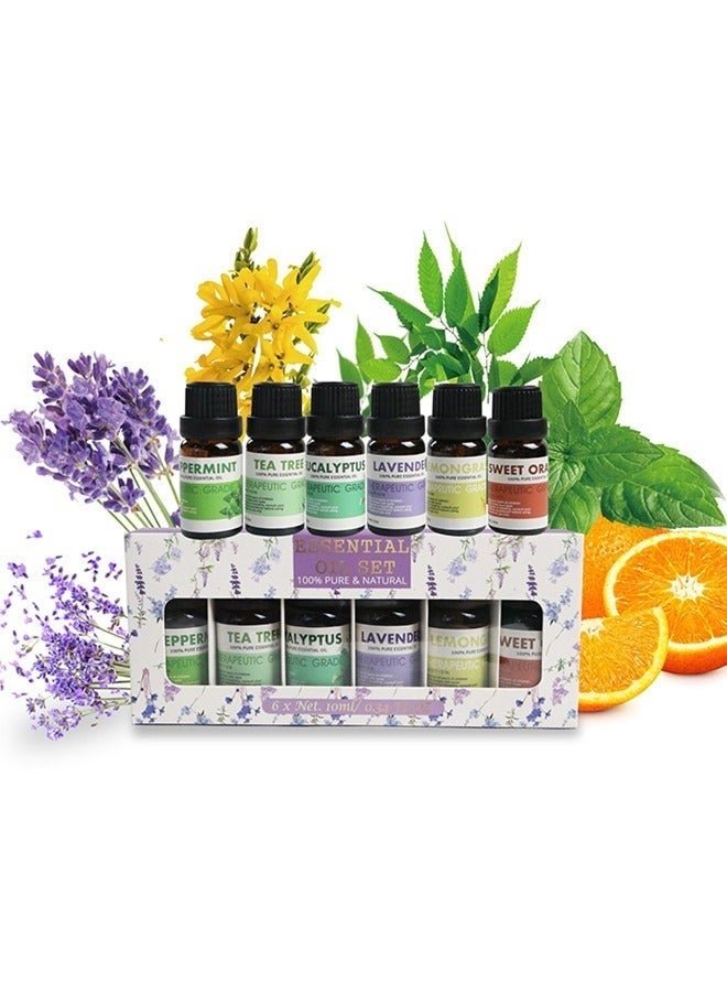 HOMESTAR Essential Oil Set 100% Pure & Natural -6 Pack Aromatherapy Essential Oils Therapeutic Grade Essential Oils Gift Set - Image 3