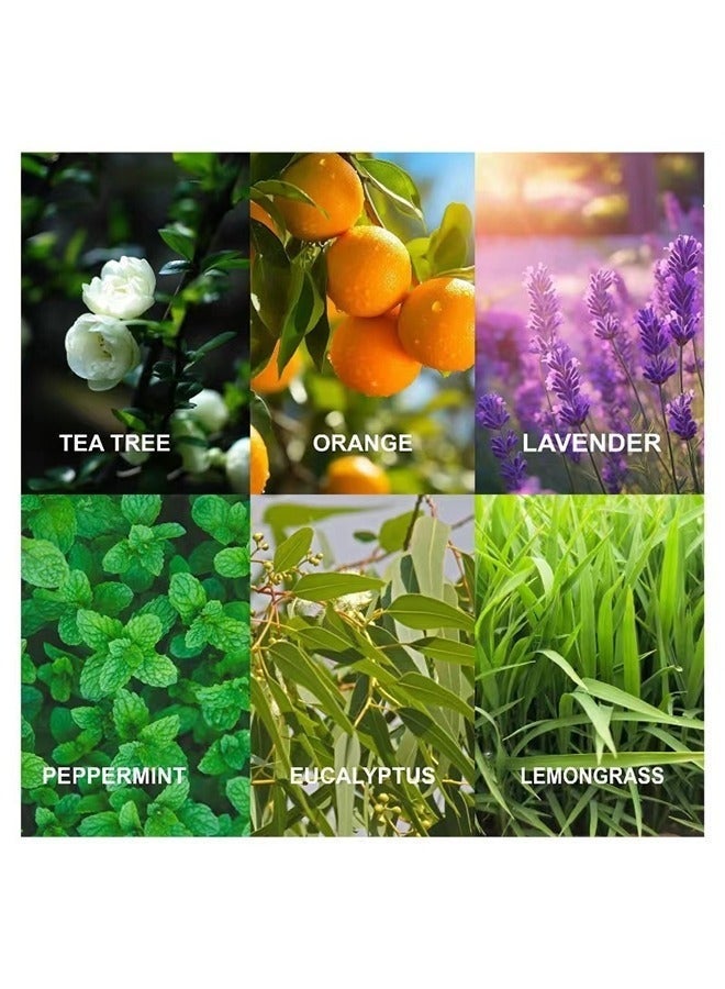 HOMESTAR Essential Oil Set 100% Pure & Natural -6 Pack Aromatherapy Essential Oils Therapeutic Grade Essential Oils Gift Set - Image 5