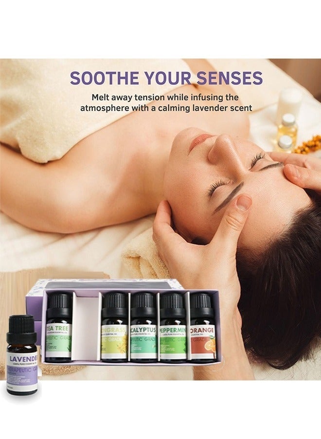 HOMESTAR Essential Oil Set 100% Pure & Natural -6 Pack Aromatherapy Essential Oils Therapeutic Grade Essential Oils Gift Set - Image 2