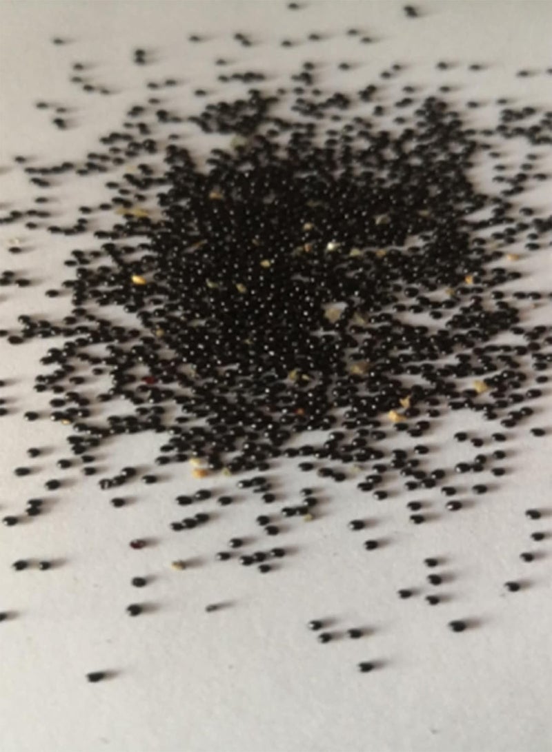 جي جوت إجمالي 100 قطعة من بذور زهور السيمبيديوم على شكل فتيات راقصات بذور زهور الحديقة للمنزل بذور مقاس واحد - Image 4