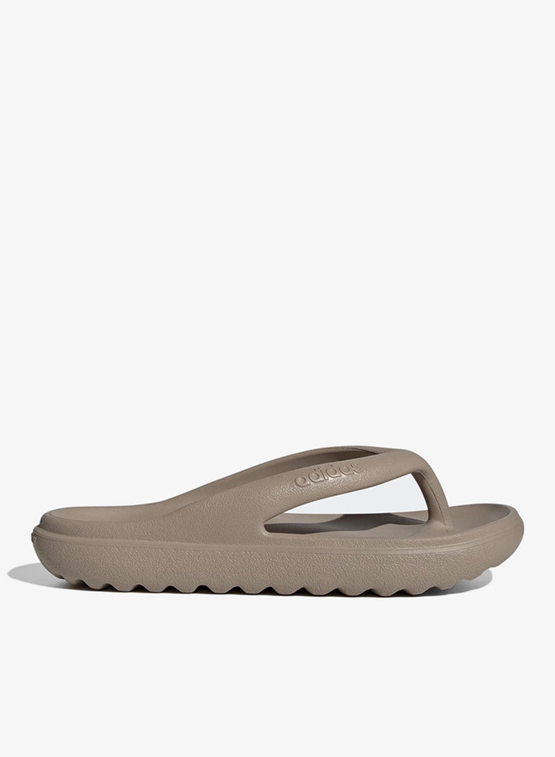 اديداس أدليت لوميا فليب - Image 1