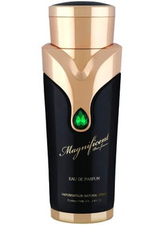 Magnificent Perfume EDP