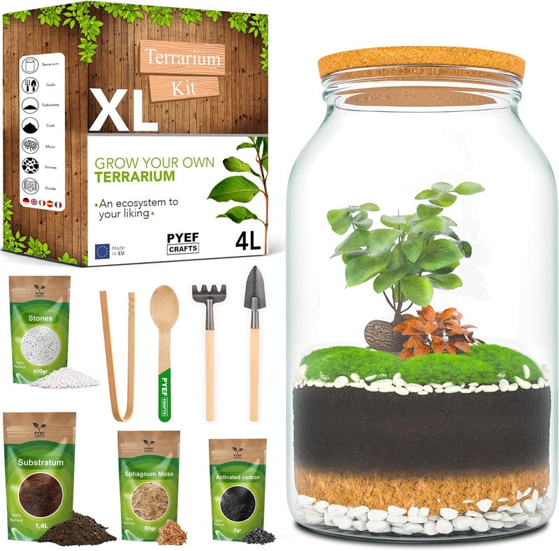 PYEF CRAFTS XL Terrarium Kit for Self-Sufficient Ecosystem - DIY Glass 4L Bottle for Garden in Ecosystem - Without Plant - Image 1