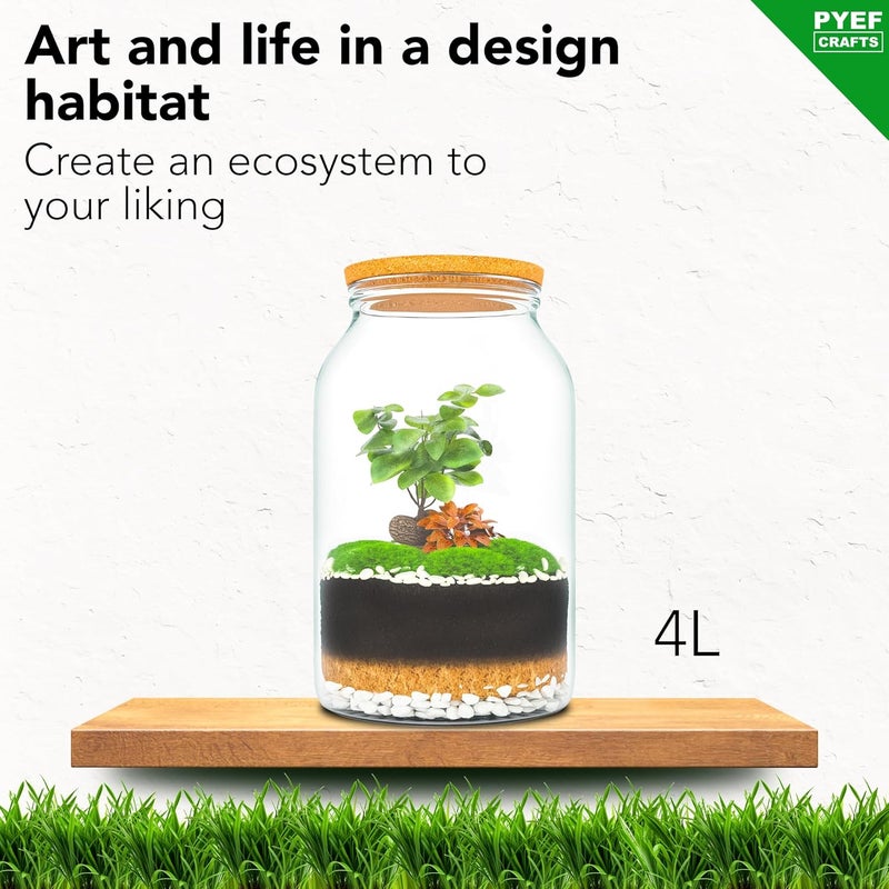 PYEF CRAFTS XL Terrarium Kit for Self-Sufficient Ecosystem - DIY Glass 4L Bottle for Garden in Ecosystem - Without Plant - Image 2