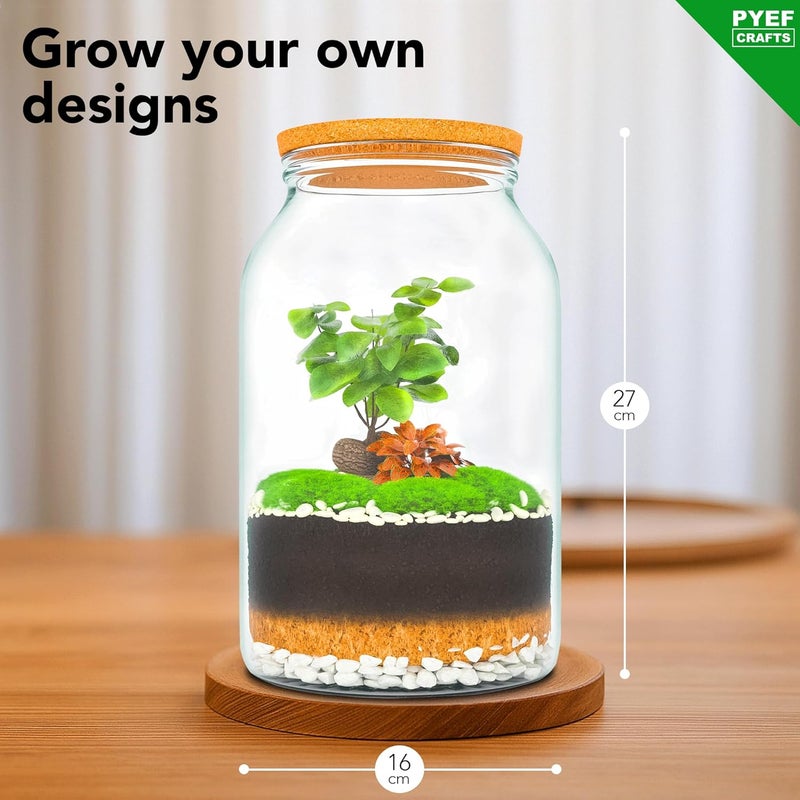 PYEF CRAFTS XL Terrarium Kit for Self-Sufficient Ecosystem - DIY Glass 4L Bottle for Garden in Ecosystem - Without Plant - Image 4
