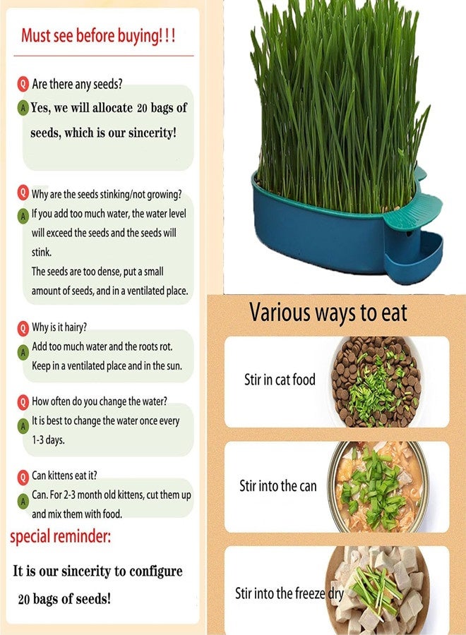 أوساويك قطط عشبية للقطط الداخلية، قطط بذور عشبية، طقم عشبي، فقط أضف ماء، - Image 3