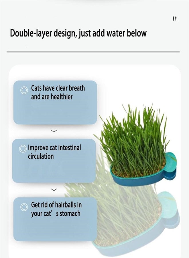 أوساويك قطط عشبية للقطط الداخلية، قطط بذور عشبية، طقم عشبي، فقط أضف ماء، - Image 4
