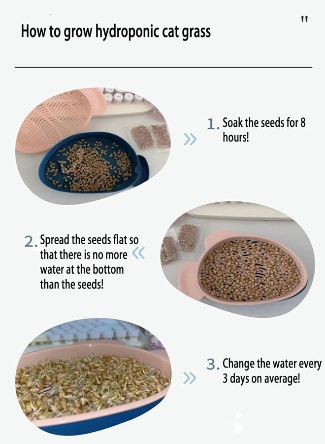 أوساويك قطط عشبية للقطط الداخلية، قطط بذور عشبية، طقم عشبي، فقط أضف ماء، - Image 5