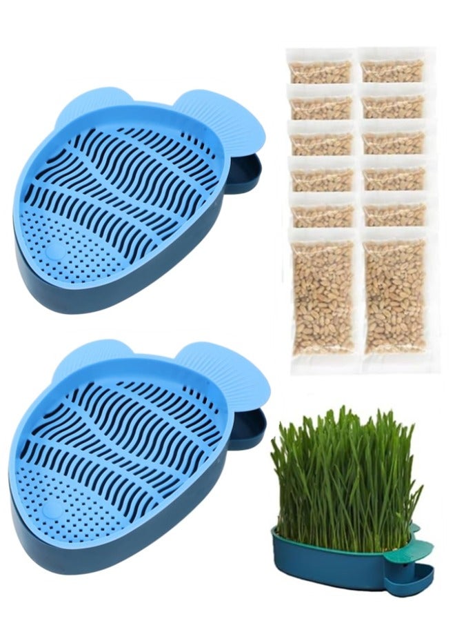 أوساويك قطط عشبية للقطط الداخلية، قطط بذور عشبية، طقم عشبي، فقط أضف ماء، - Image 1