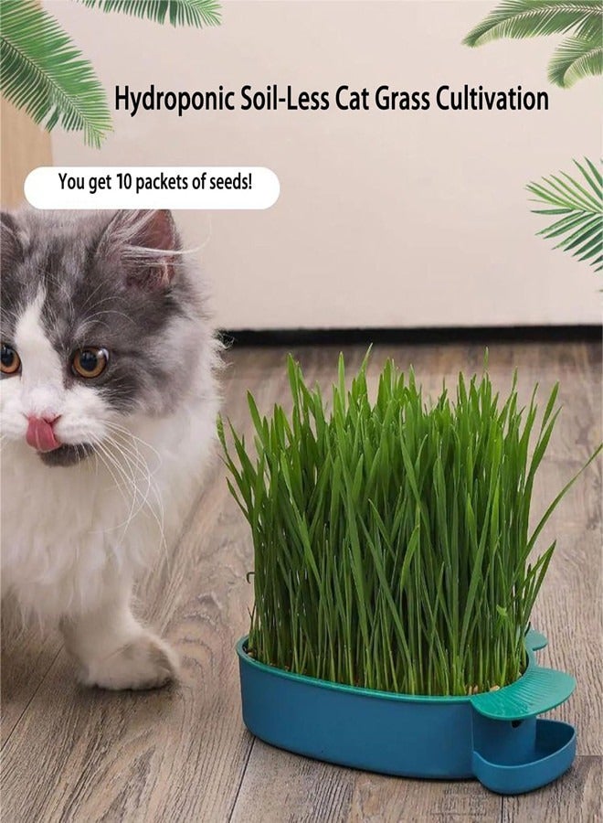 أوساويك قطط عشبية للقطط الداخلية، قطط بذور عشبية، طقم عشبي، فقط أضف ماء، - Image 2