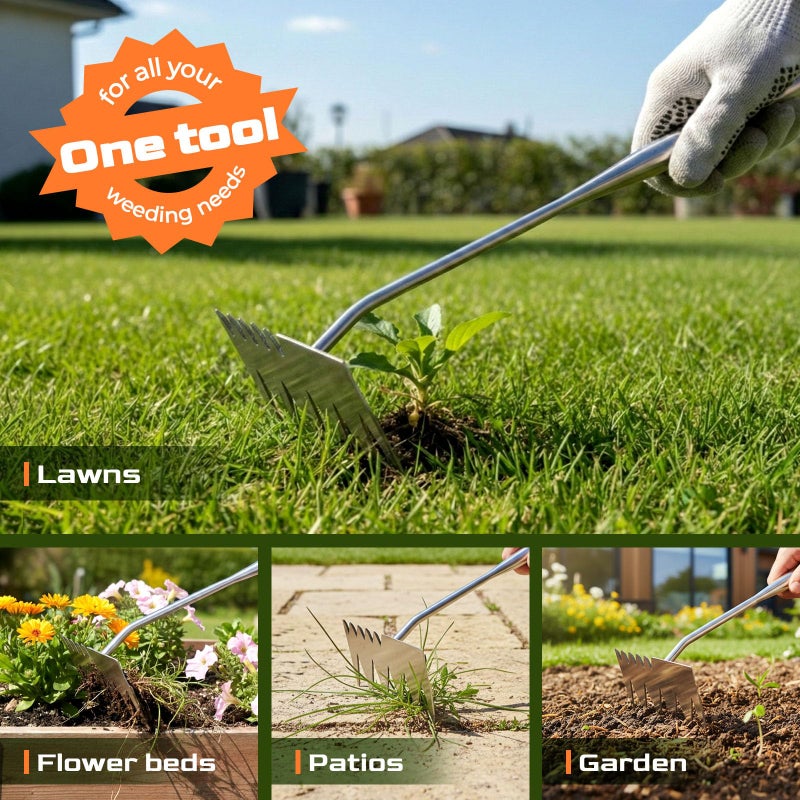 LOOHOI Upgraded Weed Puller Tool, 4-Tooth Stainless Steel Manual Weeder, Garden Weed Remover Tool for Vegetable Gardening Backyard Farm Planting & Weeding - Image 5