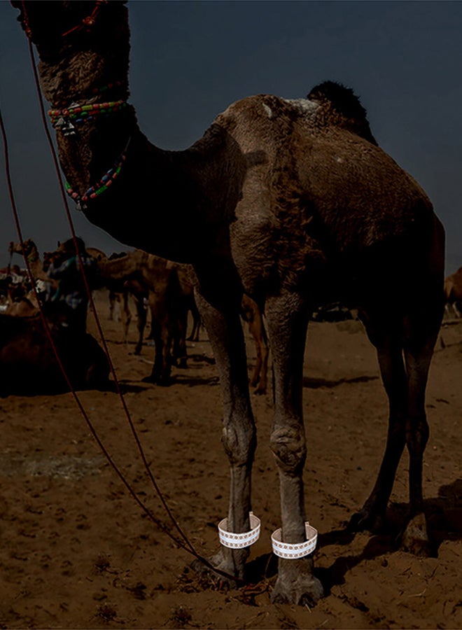 AL SANIDI مازاين، عاكس جمل مغول، بني، مقاس 39*5 سم - Image 2