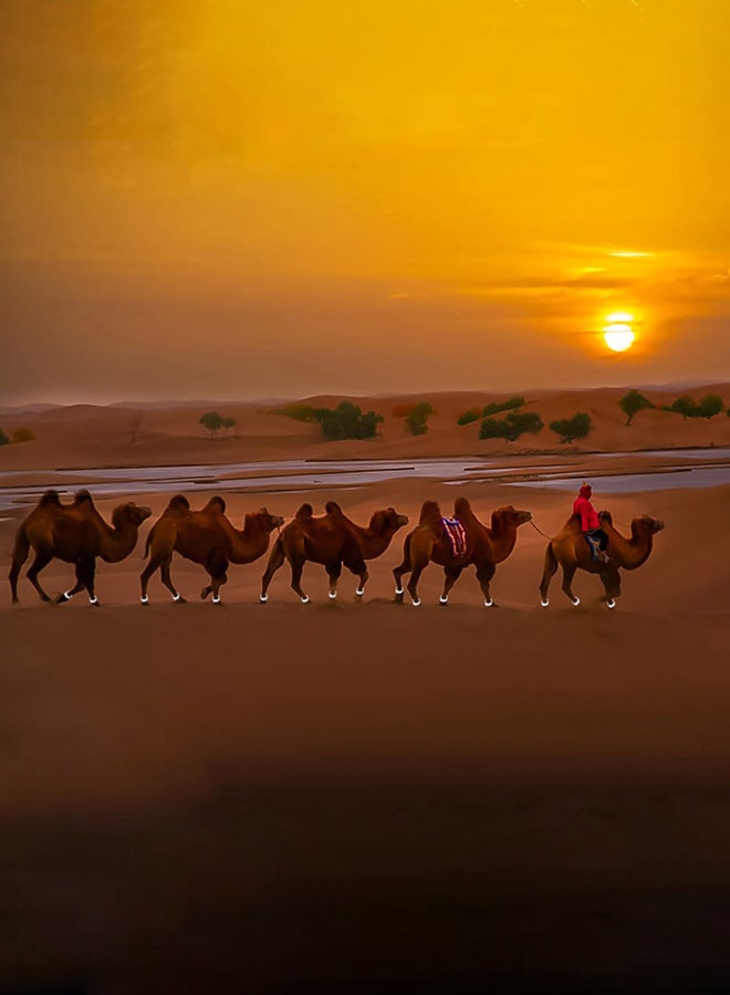 AL SANIDI مازاين، عاكس جمل مغول، بني، مقاس 39*5 سم - Image 3