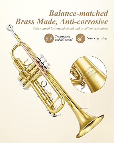 Eastar ETR-390 Standard B Flat Trumpet for Beginners Intermediate, Advanced Upgraded Trumpet Instrument with Hard Case, Cleaning Kit, 7C Mouthpiece, Gloves, Golden - Image 5