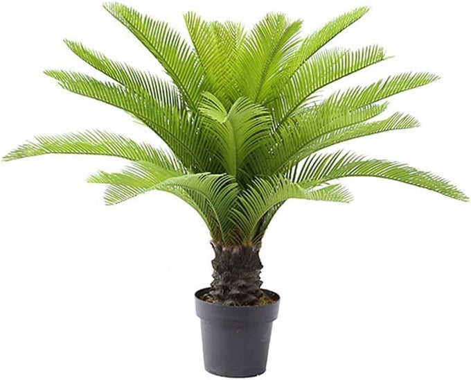 3 Feet Cycas Revoluta Sago Palm Tree Artificial Plant with Nursery Pot Feel Real Technology 21 Long Leaves