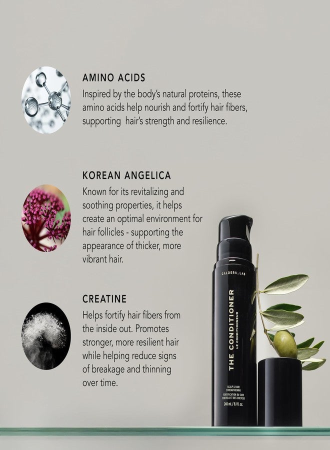Caldera + Lab The Conditioner | Men’s Moisturizing Hair Conditioner, Hydrating & Nourishing for Soft, Shiny Hair, Dermatologically Tested - All Hair Types - Image 3