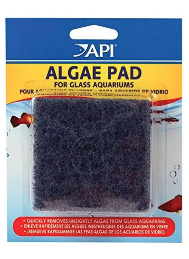 ايه بي آي مجموعة API Fish Room Essential سعة 8 أونصة. تتضمن Auqa Essential سعة 8 أونصة، وStress Coat سعة 8 أونصة، وStress Zyme سعة 8 أونصة، وشرائط اختبار أحواض السمك 5 في 1، ووسادة تنظيف الطحالب المحمولة لأحواض السمك الزجاجية.  - Image 5