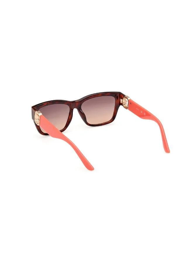 GUESS  Cateye Sunglasses for Women | Best Price UAE