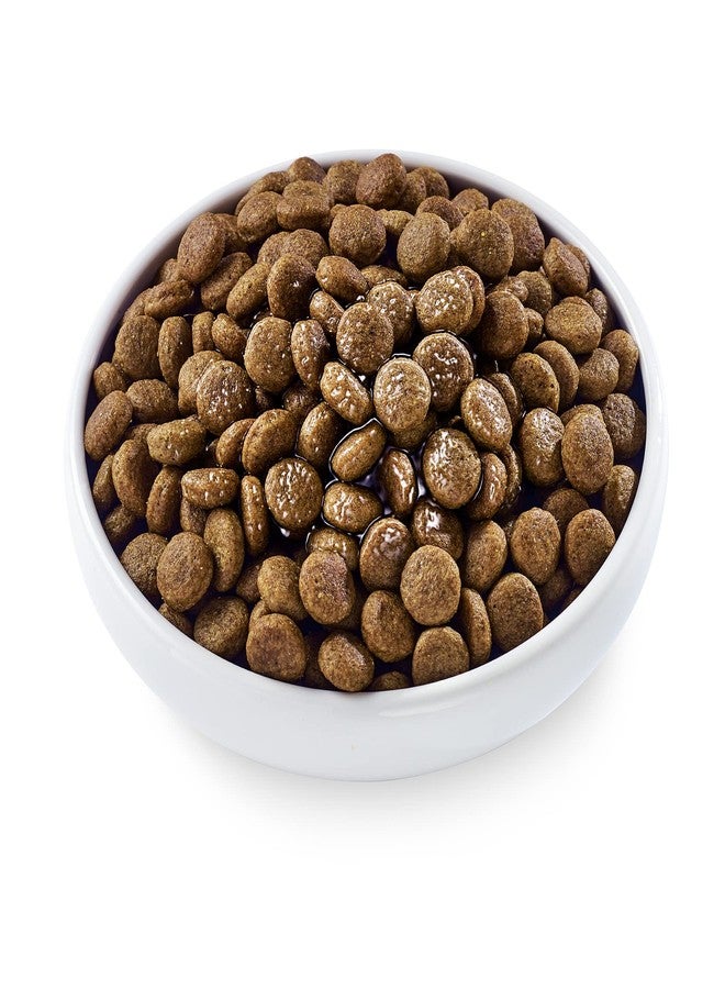 آبلاوس Applaws Taste Toppers، مرق عظام للكلاب، خالٍ من الحبوب، مكونات محدودة، مرق عظام لحم بقري مع الكركم والبقدونس (6 أكياس × 7.1 أونصة) - Image 2