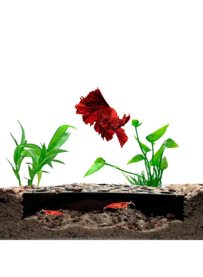 مخابئ كهف الكهوف الرقيقة ذات المناظر الطبيعية الرقيقة للروبيان - Image 3