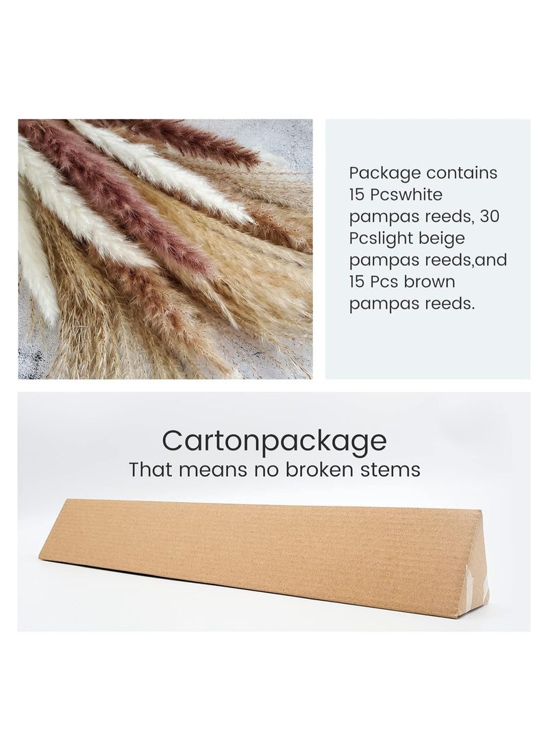 Dubkart 60-Piece Natural Dried Pampas Reed Grass Set for Flower Arrangements Home Decor  - Image 5
