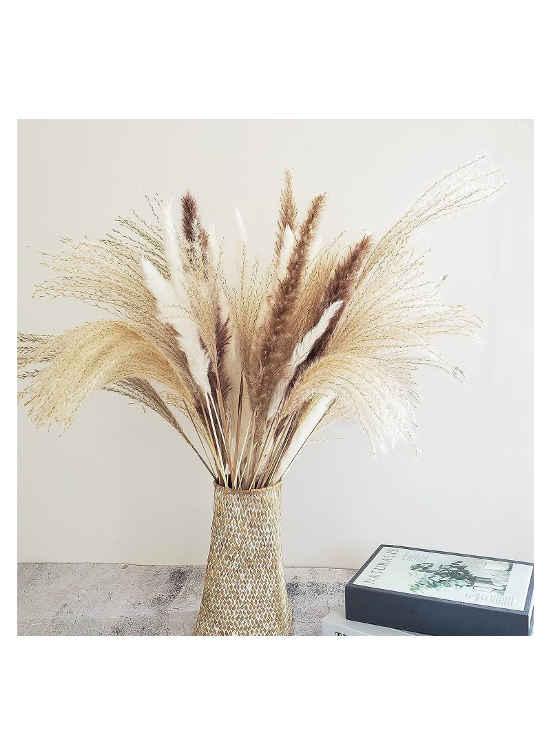 Dubkart 60-Piece Natural Dried Pampas Reed Grass Set for Flower Arrangements Home Decor  - Image 1