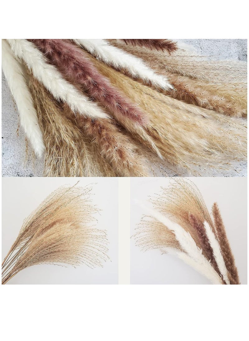 Dubkart 60-Piece Natural Dried Pampas Reed Grass Set for Flower Arrangements Home Decor  - Image 2