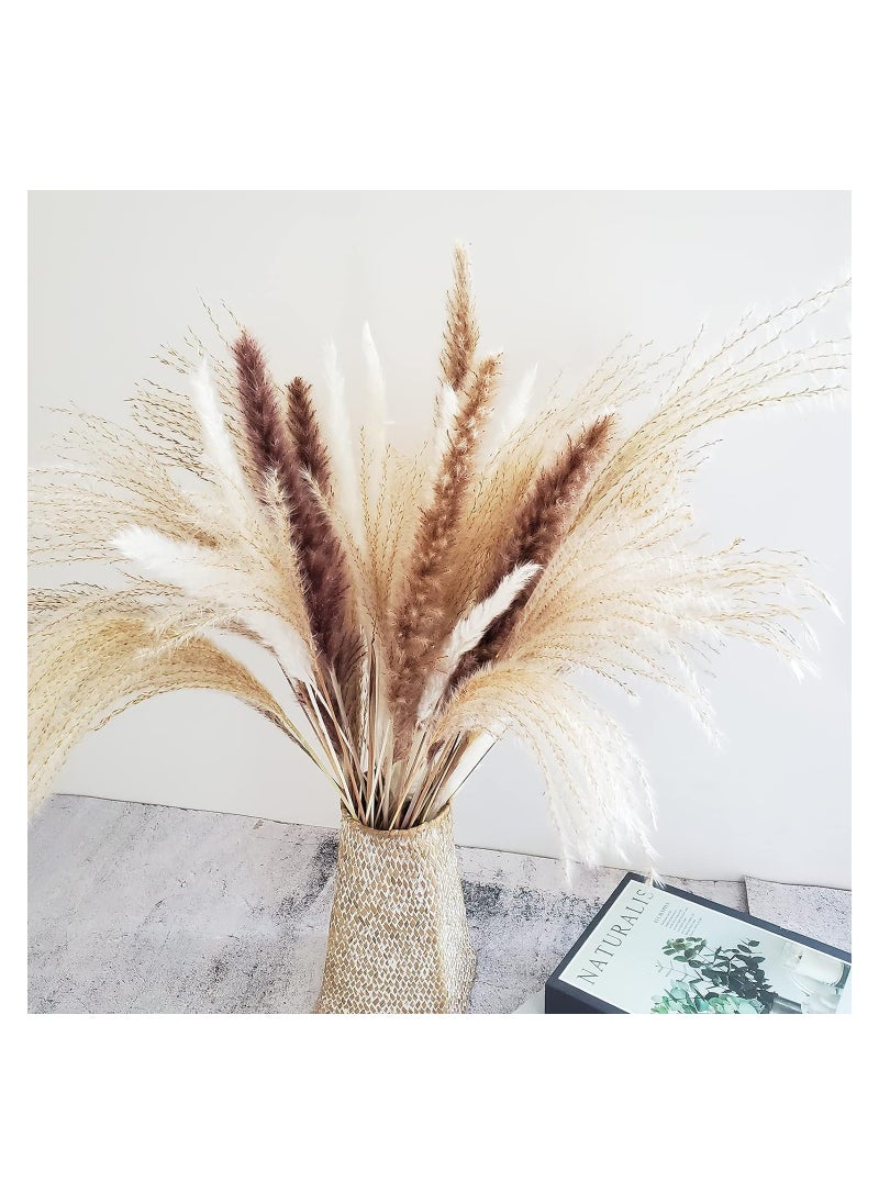Dubkart 60-Piece Natural Dried Pampas Reed Grass Set for Flower Arrangements Home Decor  - Image 4