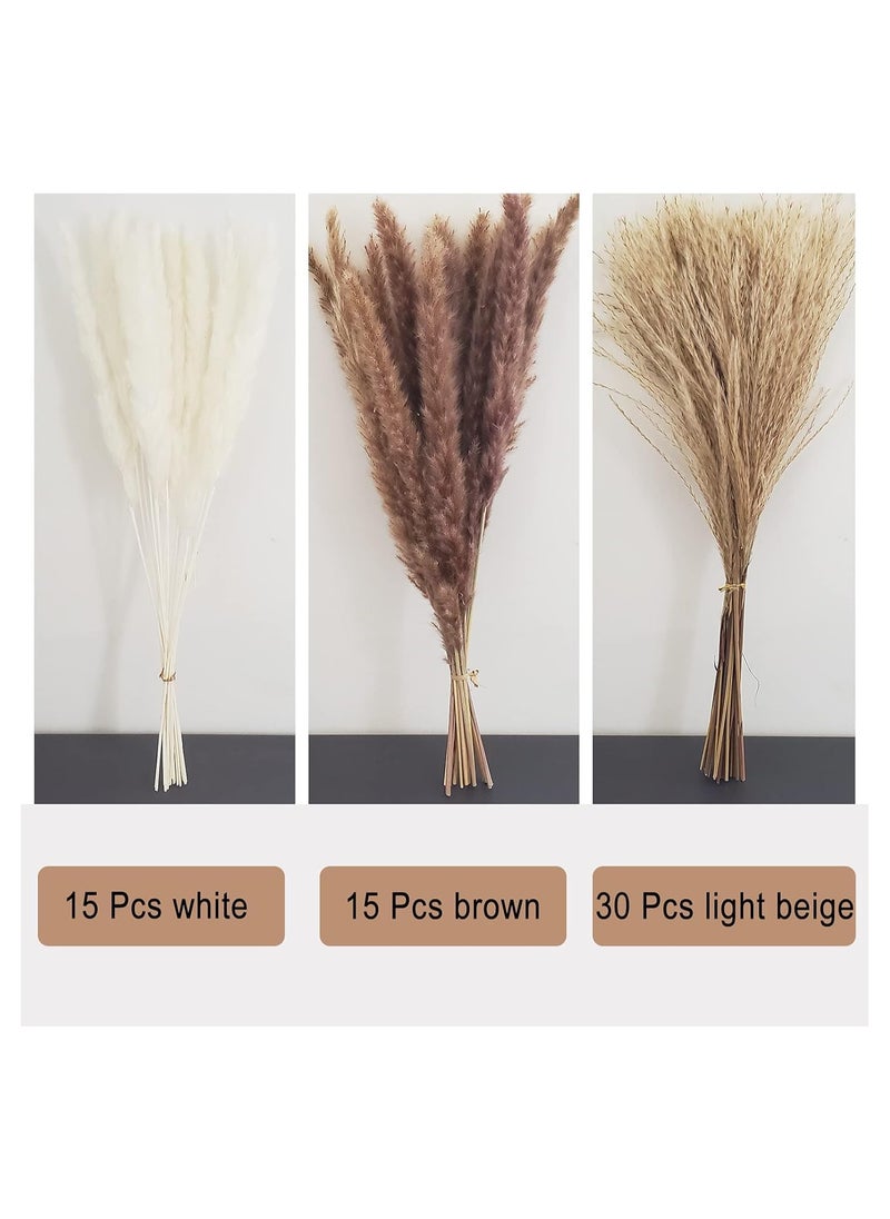 Dubkart 60-Piece Natural Dried Pampas Reed Grass Set for Flower Arrangements Home Decor  - Image 3