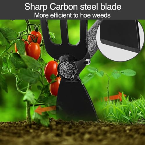 Oliynedy Hoe and Cultivator Gardening Hand Tools, Heavy Duty Stainless Steel Garden Hoe and 3 Fork Hand Tiller for Gardening Weeding Planting with Adjustable Handle 30-45 inch - Image 2