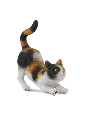 3COLOUR HOUSE CAT -STRETCH - pzsku/Z210F9B85F6263AFBD426Z/45/1744829236/0376ee29-26cd-4215-bf40-634ba4026e34