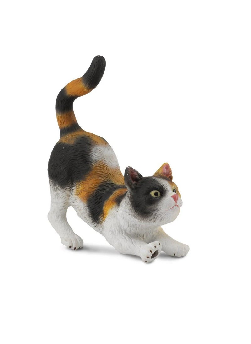 CollectA - 3COLOUR HOUSE CAT -STRETCH - Image 1