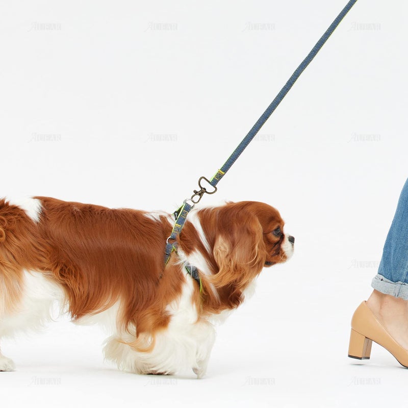 أوير ، 20 1 بوصة الزناد المفاجئة السنانير دفع بوابة دوارة مخلب جراد البحر المشابك كليب ل 1 بوصة حزام العتيقة النحاس - Image 5