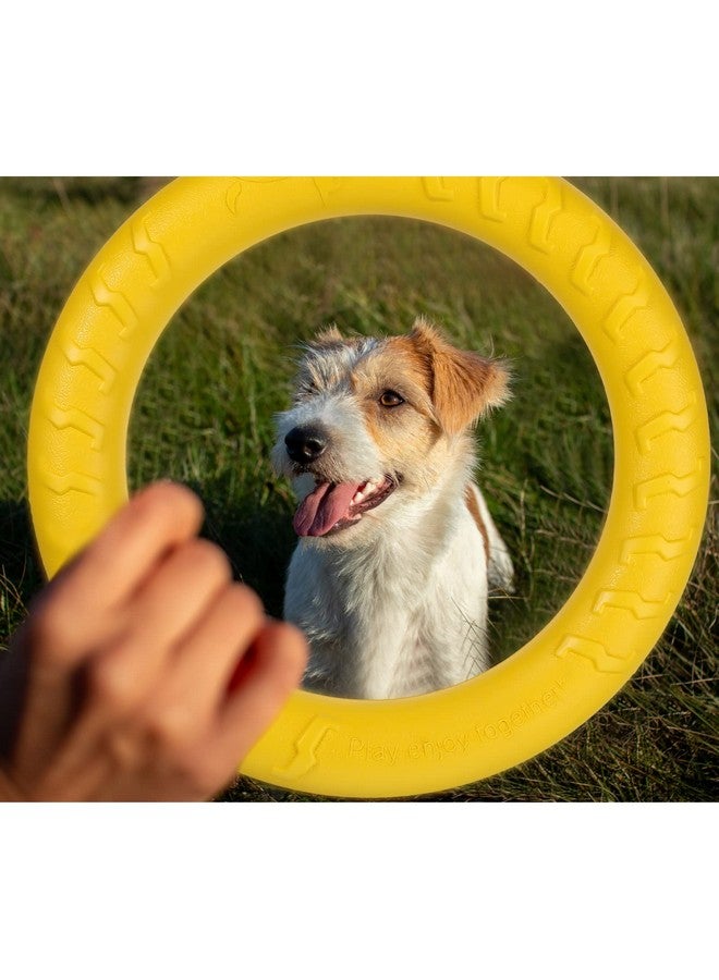 Leitee 2 Pack Dog Toys, Ring Toys Flying Discs for Small to Large Dogs - Training, Fetching, Floating, Teeth Cleaning (11 Inch) - Image 5