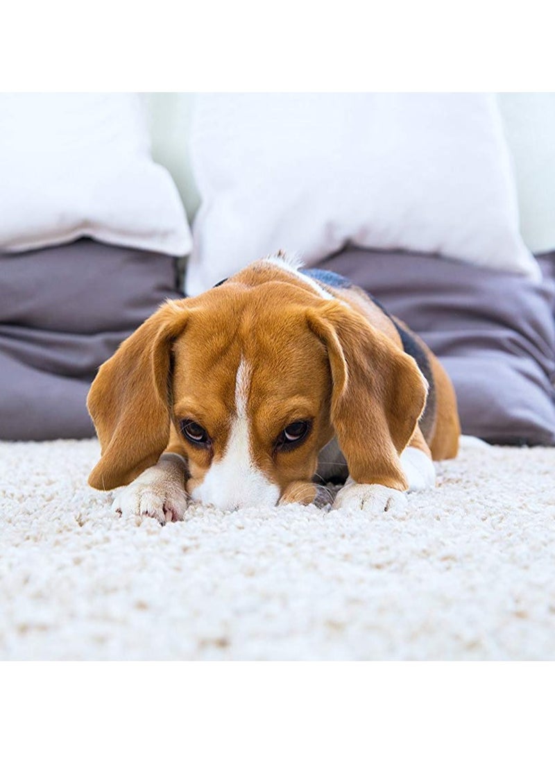 Simple Solution Extreme Stain and Odor Remover (Dog) 500 ml - Image 3