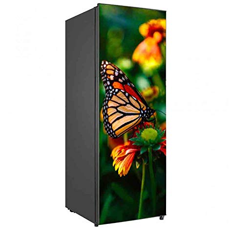 wallpics Fridge Skin Fully Waterproof Vinyl Sticker Wallpaper Warp Decals Large Size 160 cm X 60 cm frs2079