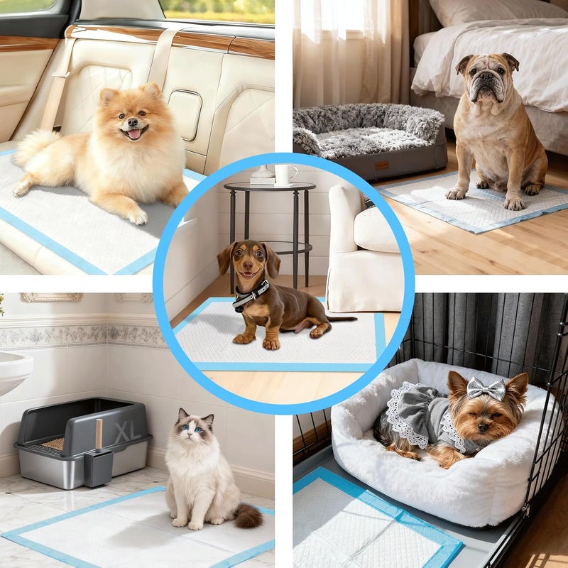 Gimars 6-Layer Extra Thick 60 x 60 cm Super Absorbent 400 ml Leak-Proof Dog Pads — Quick Drying Training Mats for Small/Medium Dogs, Seniors & Multi-Pet Households - Image 5