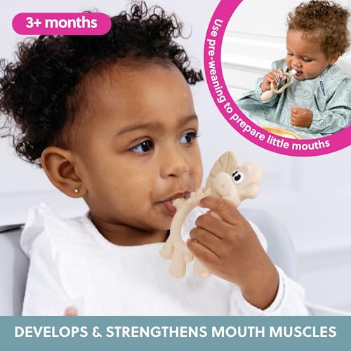 Bibado Dotty the Dinosaur Teething Toys Fawn MultiSensory Teether BPA Free Baby Toy Strengthen Mouth Muscles Learn Feeding Dentist Approved Baby Essentials Baby Toys 3 Months - Image 3