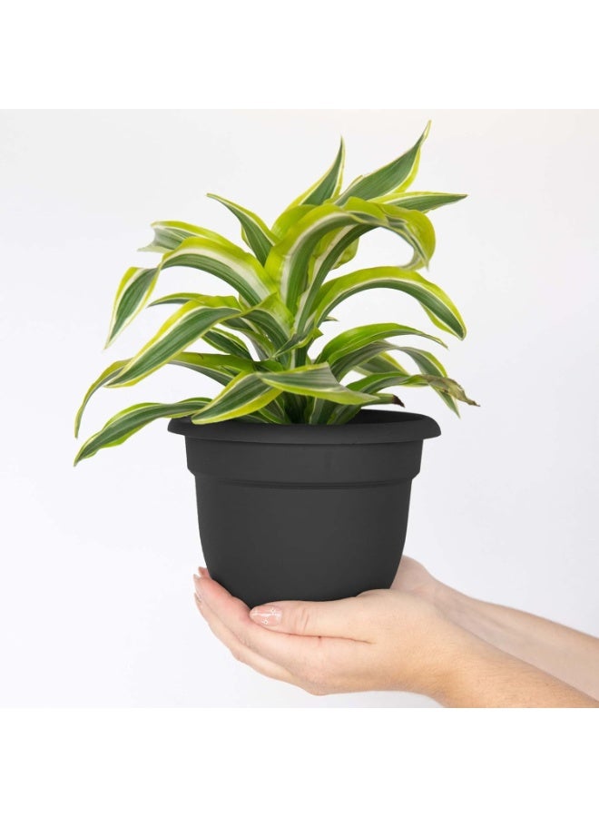 Bloem 6 Inch Self Watering Plastic Planter Pot Black Indoor Outdoor Garden Flower Pot with Drainage and Reservoir - Image 2