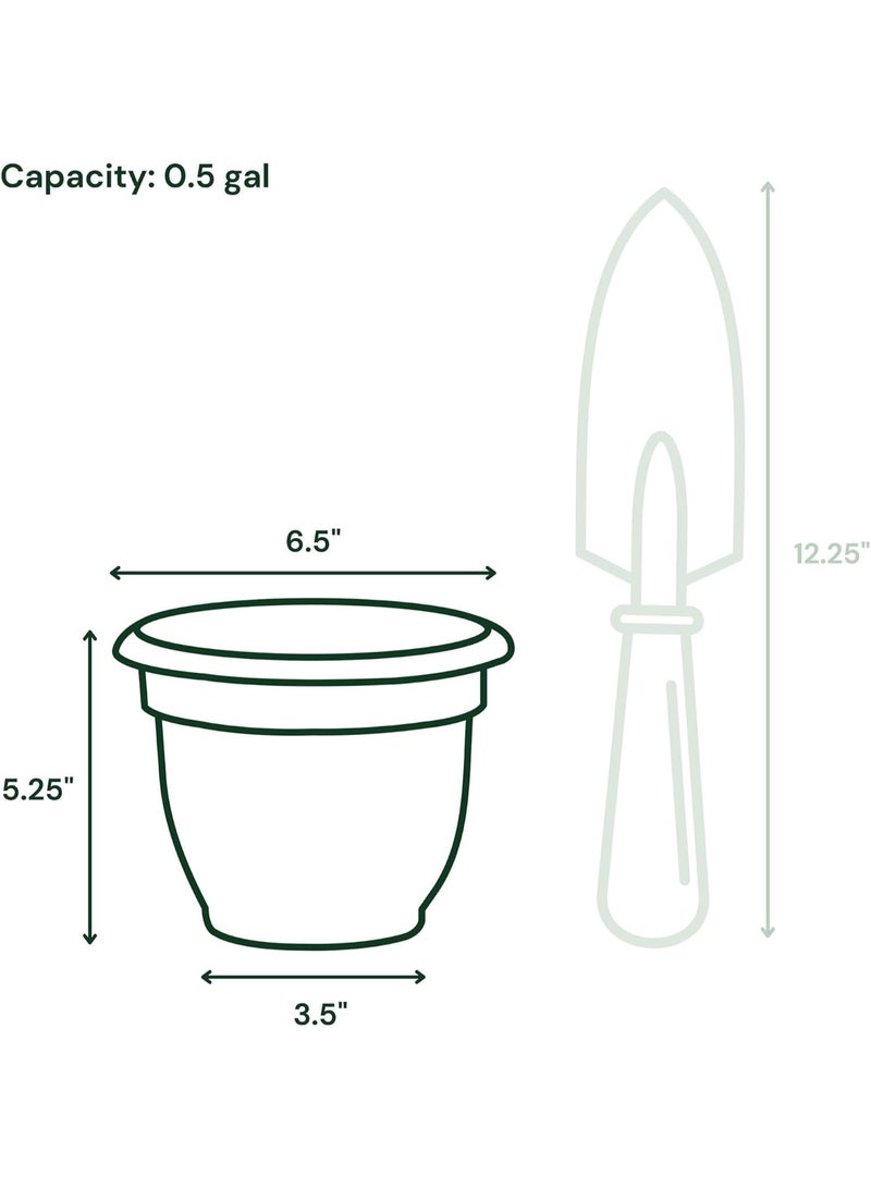 Bloem 6 Inch Self Watering Plastic Planter Pot Black Indoor Outdoor Garden Flower Pot with Drainage and Reservoir - Image 3